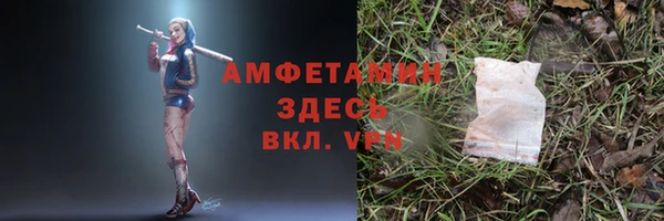стаф Струнино