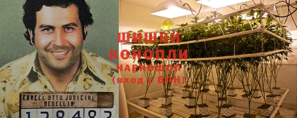 apvp Балахна