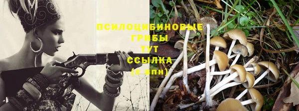 apvp Балахна